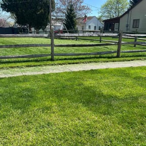 grass cutting by Lawn Champs reviewed on October 22, 2024