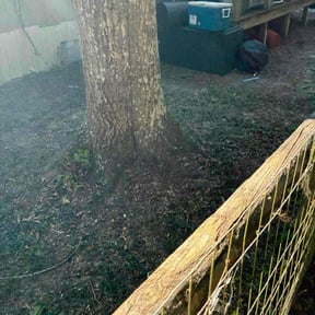 Leaf Removal by Original Green Grass reviewed on September 25, 2025