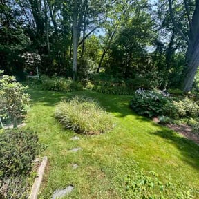 Bush Trimming by Custom Remodeling and Restoration reviewed on July 29, 2026