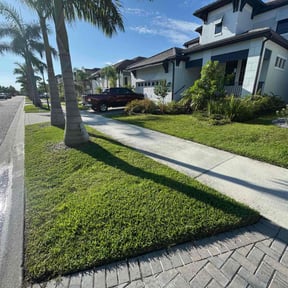 yard work by Corey J's Lawn Service reviewed on December 20, 2025