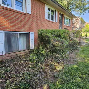 Bush Trimming by Yard Worx Lawn Service reviewed on August 16, 2025