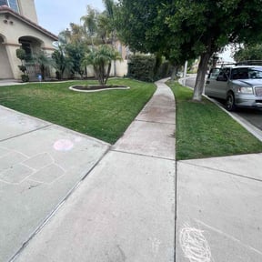 grass maintenance by Trash Cupid Rental reviewed on December 2, 2024