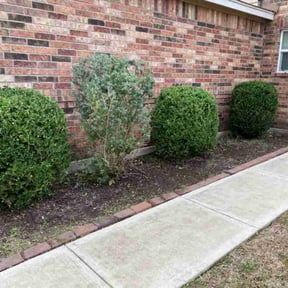 Bush Trimming by Signature Lawn Care LLC. reviewed on August 18, 2025