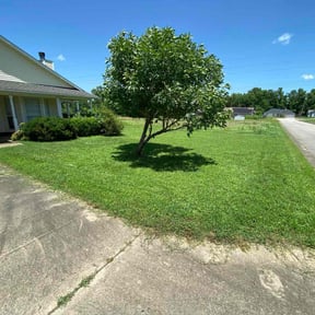 Long Grass Cleanup by Macias landscaping reviewed on August 16, 2025