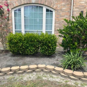Flower Bed Weeding by Faith Travels reviewed on October 22, 2026