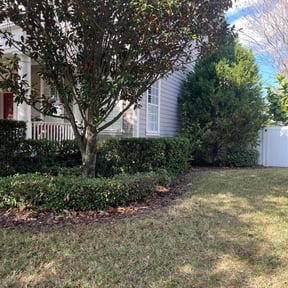 Bush Trimming by Mightyfine professional services llc reviewed on December 15, 2025