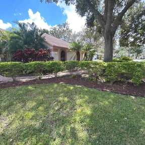 Bush Trimming by Above &amp; Beyond LLC reviewed on November 23, 2025