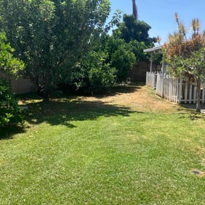 yard care by Lawns 2NV reviewed on August 21, 2025