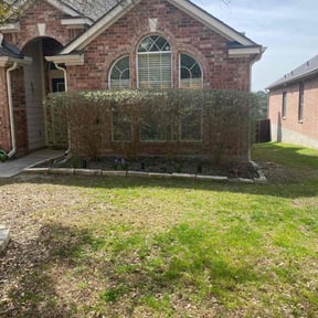 Bush Trimming by TNT landscaping & Lawncare llc reviewed on August 18, 2025