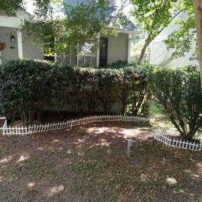 Bush Trimming by Wolverine Lawncare reviewed on August 19, 2025
