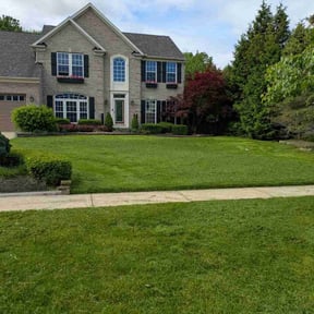 yard service by First Class Lawn reviewed on August 20, 2025
