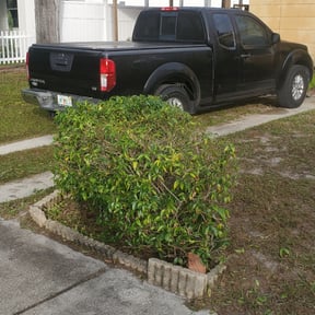 Bush Trimming by Ndebay Landscapping reviewed on August 15, 2025