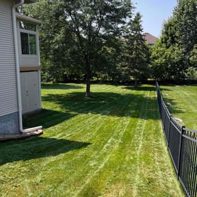 yard service by Powell yard work reviewed on August 18, 2025