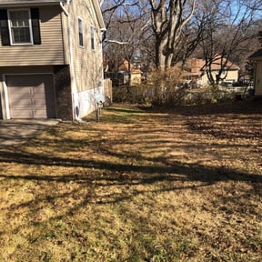 Bush Trimming by Wichi landscaping reviewed on September 30, 2024