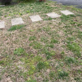 Bush Trimming by HQ Lawn Service reviewed on August 16, 2025