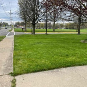 landscaping services by CNR Landscaping reviewed on July 18, 2025