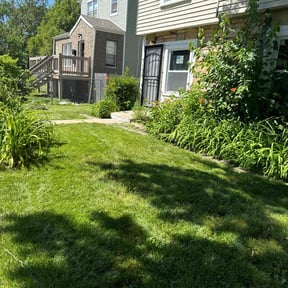 turf care by Stephen Reynolds reviewed on April 11, 2024