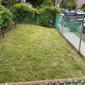 grass cutting by Torres Lawn Care reviewed on April 27, 2024