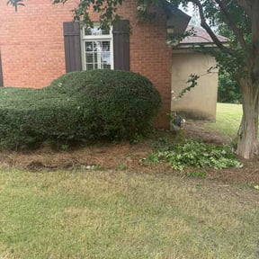 Bush Trimming by B&amp;C Landscaping LLC reviewed on June 19, 2026