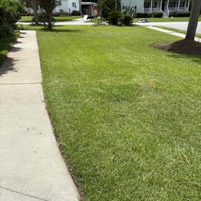 gardening service by Daniels Property Maintenance reviewed on August 20, 2025