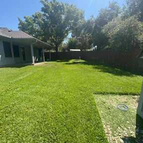 landscaping services by All Around Landscaping reviewed on August 16, 2025