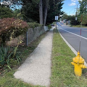 Bush Trimming by Zad&#039;s Lawn Worx reviewed on October 21, 2025