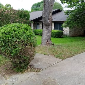 Bush Trimming by Erick&#039;s Lawn Maintenance reviewed on May 3, 2023