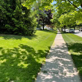 yard maintenance by FOlawn reviewed on September 13, 2023