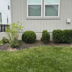 Bush Trimming by Hunter’s Lawn Care! reviewed on April 26, 2026