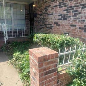 Bush Trimming by The Green Guy Lawn Care LLC reviewed on August 15, 2025