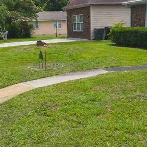 Bush Trimming by Greenline Lawn Co reviewed on June 5, 2026