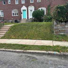 lawn service by Go Green Electric Lawncare reviewed on March 20, 2024