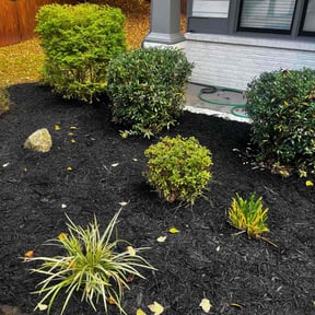 Mulching by Martínez landscaping reviewed on November 21, 2025