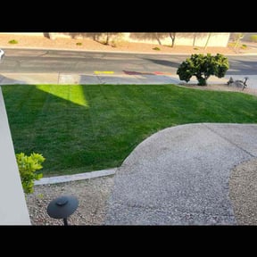 grass maintenance by Right Time Llc reviewed on July 19, 2025