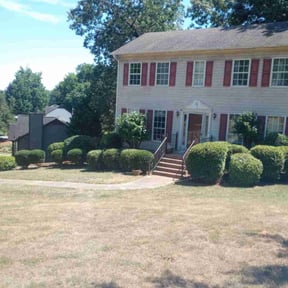 Bush Trimming by Crimson Landscaping reviewed on August 21, 2025