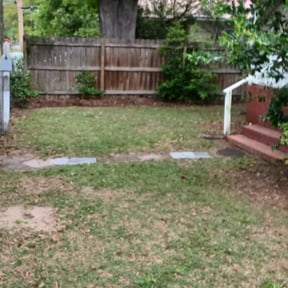 Leaf Removal by D’s Landscaping reviewed on September 8, 2025