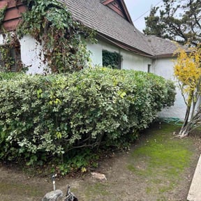 Leaf Removal by Hugheslandscaping reviewed on May 25, 2025