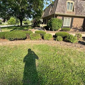 Flower Bed Weeding by Prime time stripping solutions reviewed on July 17, 2026