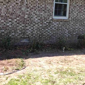 Bush Trimming by MR.EVERYTHING AND MORE reviewed on May 17, 2021