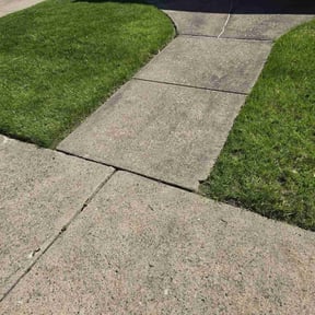 turf maintenance by Everything and More Thrift LLC reviewed on May 3, 2024