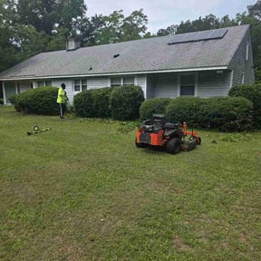 Bush Trimming by RRK maintenance LLC reviewed on June 1, 2026