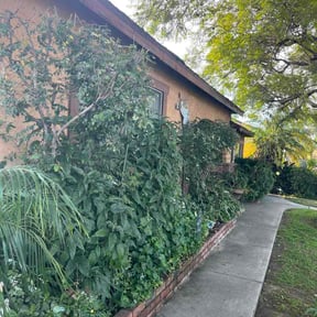 Bush Trimming by Scott's Landscaping And Pool Service reviewed on March 5, 2026