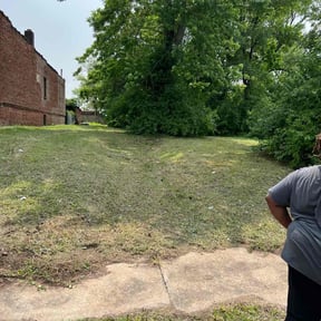 Bush Trimming by Andrew White reviewed on August 20, 2025