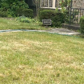 Bush Trimming by Suds and Surface Outdoors reviewed on June 19, 2026