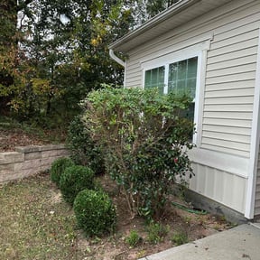 Bush Trimming by Diaz sprinkler reviewed on November 30, 2025