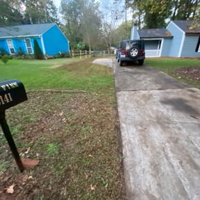 Leaf Removal by Asset Defense LLC reviewed on September 20, 2025