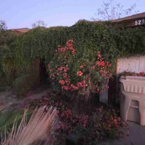 Bush Trimming by Q.A. Landscaping and Pressure Washing LLC reviewed on March 28, 2026