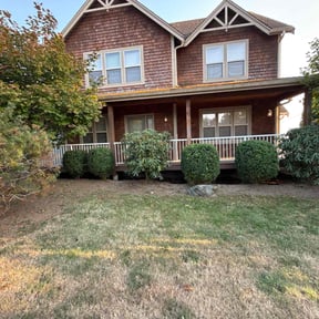 Bush Trimming by Indytrendz reviewed on November 9, 2025