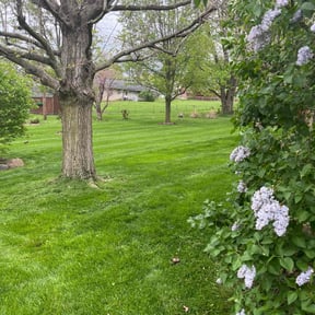 landscaping services by KG Grounds reviewed on November 27, 2025