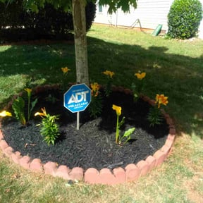 Flower Planting by  reviewed on November 6, 2025